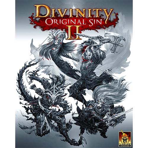 خرید بازی Divinity Original Sin 2