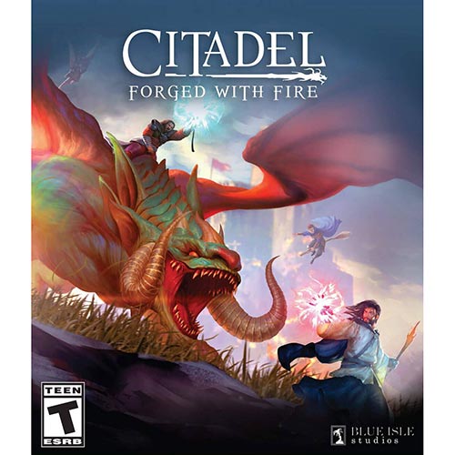 خرید بازی Citadel Forged with Fire